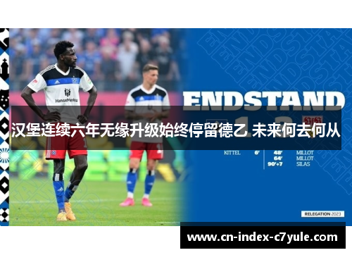 汉堡连续六年无缘升级始终停留德乙 未来何去何从 汉堡连续六年无缘升级始终停留德乙 未来何去何从